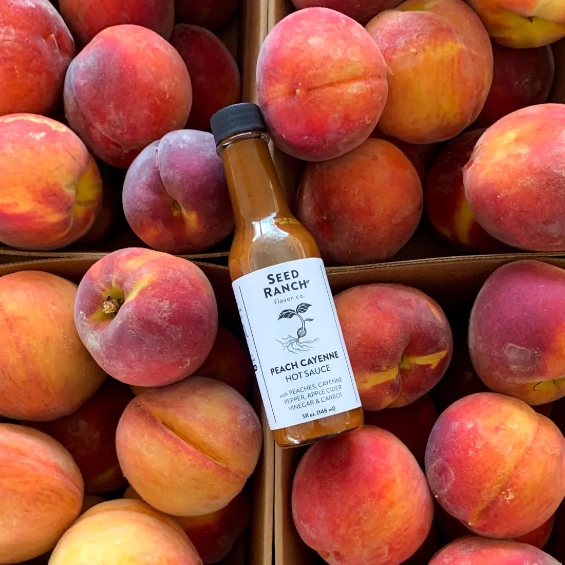 SEED RANCH | Peach Cayenne